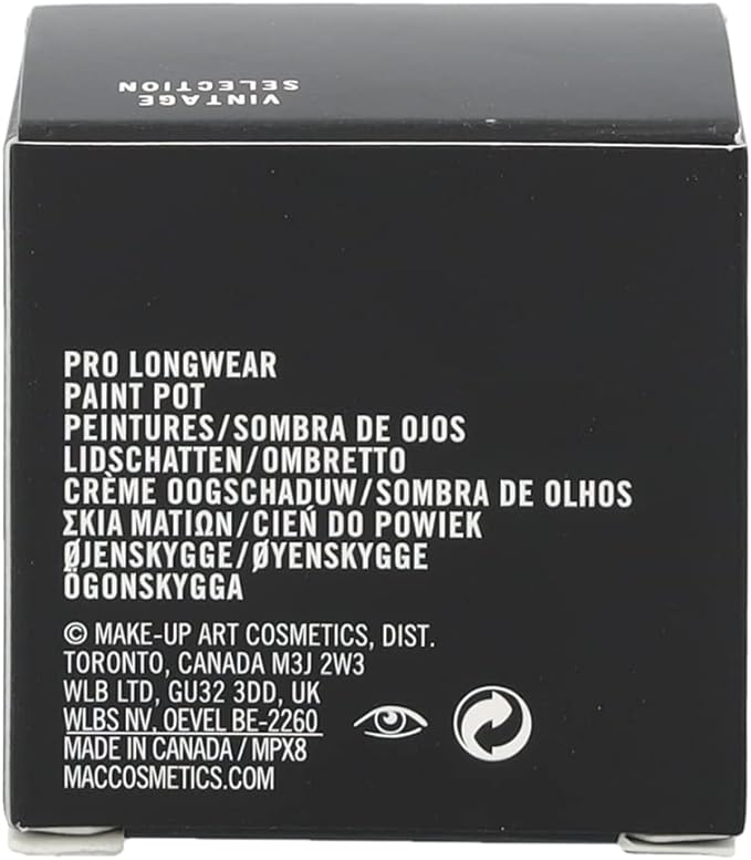MAC Eyeshadow Pro Longwear Paint Pot Frozen Violet