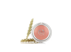 The Body Shop All in One Cheek Colour Blusher Guava 06