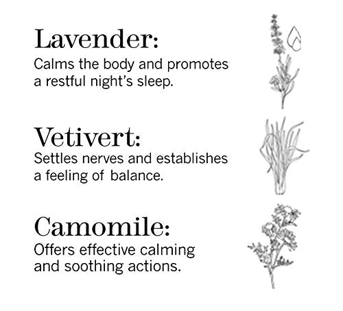 this works Sleep Club Holiday Set