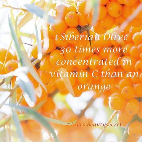 Polaar Northern Light Cream Eclat Boreal 25ml Vegan