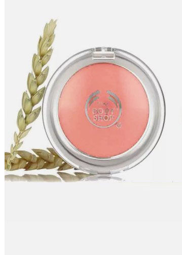 The Body Shop Blusher All in One Cheek Colour Ginger 02 by Bodyshop