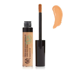 The Body Shop Fresh Nude Serum Concealer Shade 04 by Bodyshop