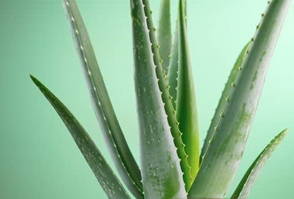 Figs & Rouge Wonder Love Clarity