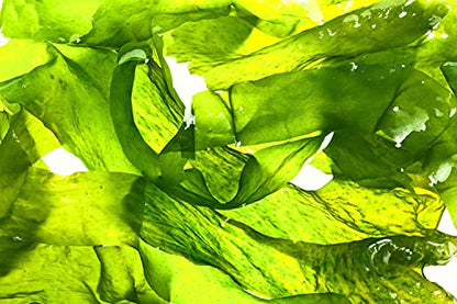 Figs & Rouge Wonder Love Clarity