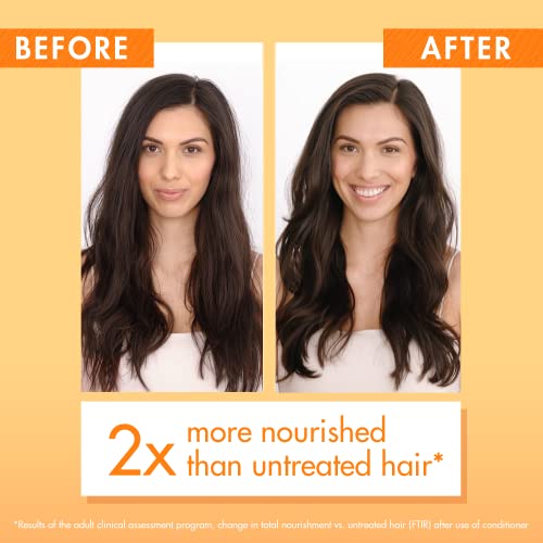 Klorane Baume Mangue 50ml